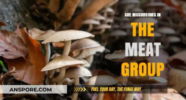 Mushrooms: Meat or Not?