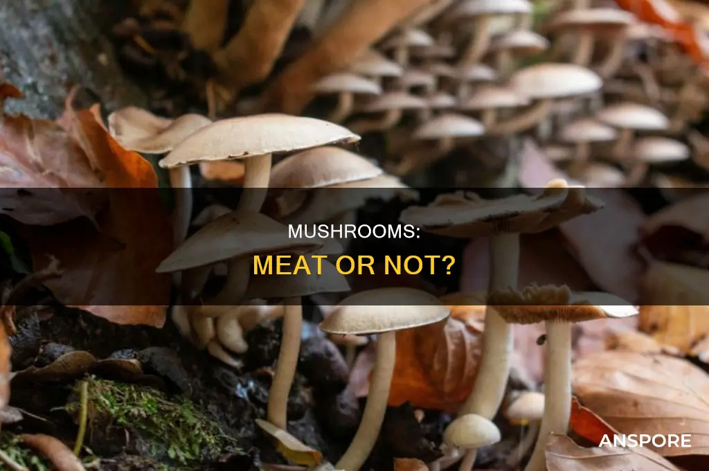 are mushrooms in the meat group