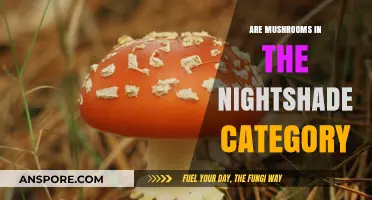 Mushrooms: Nightshade Family Members or Not?