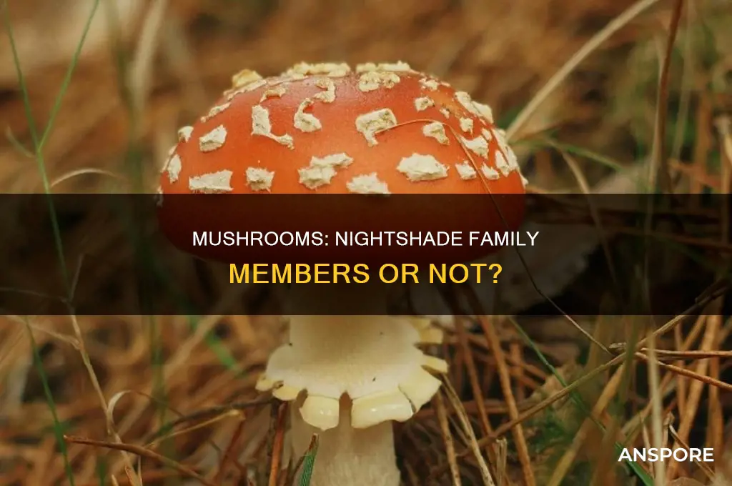 are mushrooms in the nightshade category