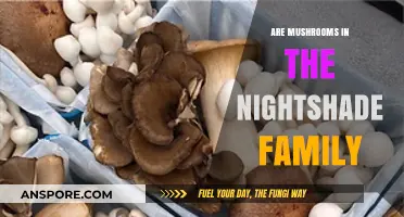 Are Mushrooms Nightshades? Unraveling the Myth and Facts