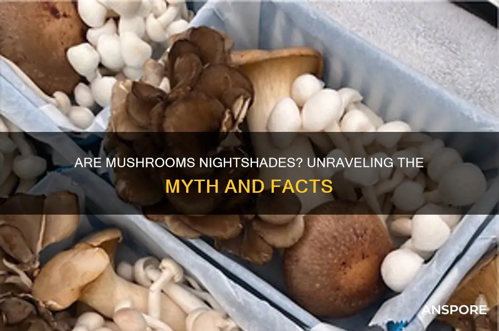 are mushrooms in the nightshade family