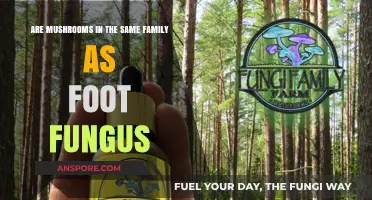Mushrooms and Foot Fungus: Are They Related?