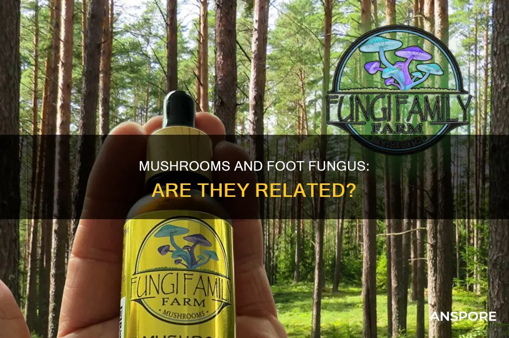 are mushrooms in the same family as foot fungus