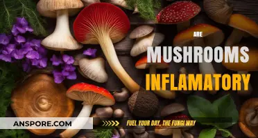Mushrooms: Inflammation Friend or Foe?