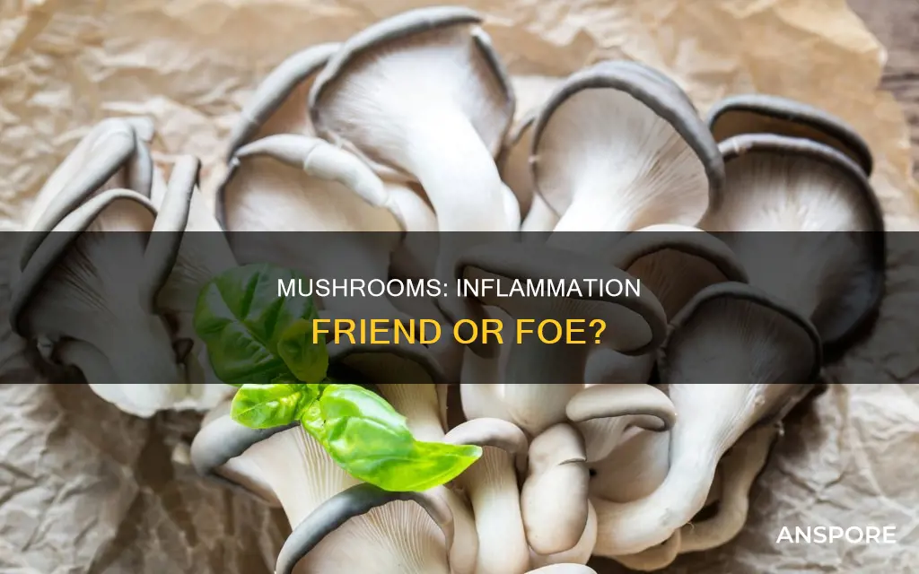 are mushrooms inflamatory