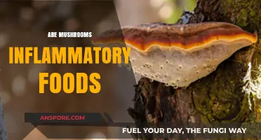 Mushrooms: Inflammatory or Anti-Inflammatory?