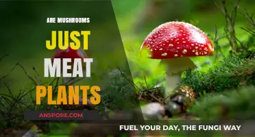 Mushrooms: Meat Plants or Something Else?