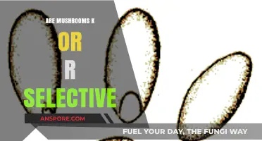 Mushrooms: K or R Selective Strategy?