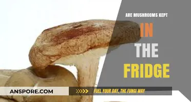 Mushroom Storage: Fridge or Shelf?