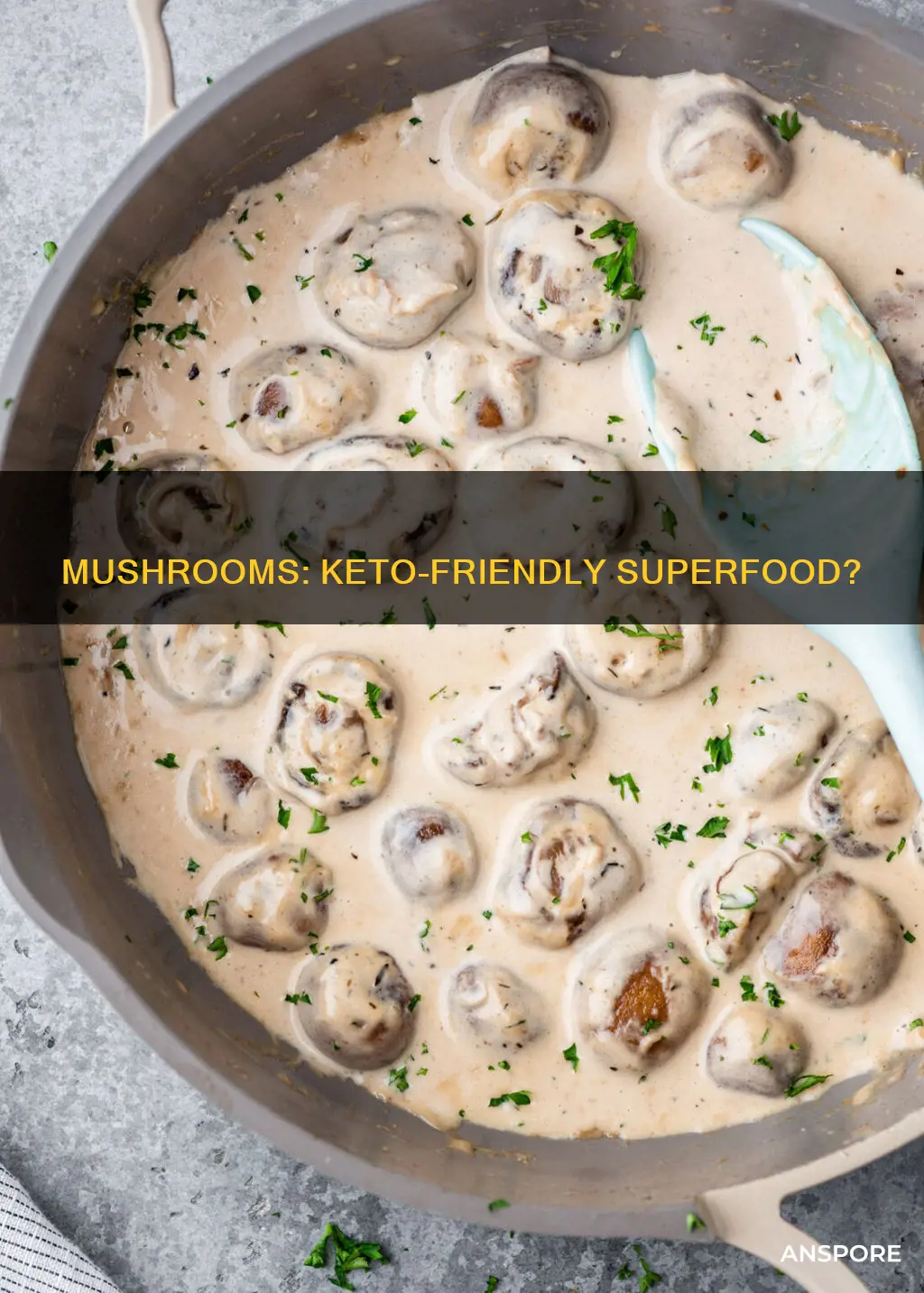 are mushrooms keto friends