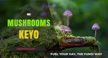 Mushrooms: Keto-Friendly Superfood?