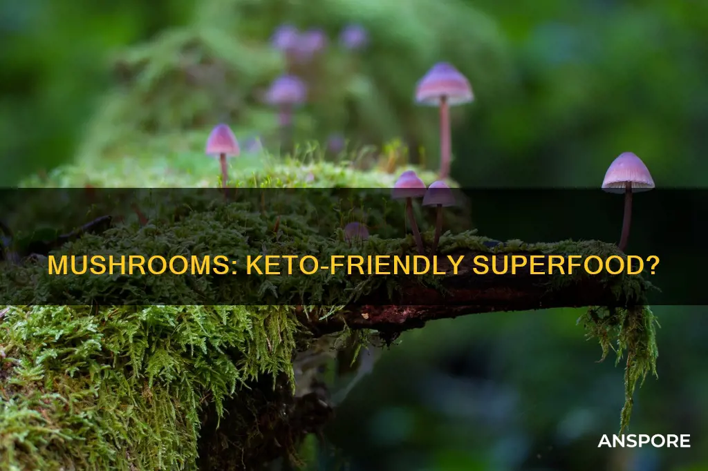 are mushrooms keyo