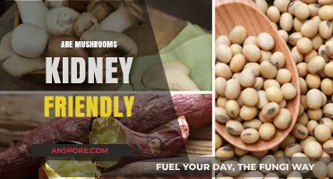Mushrooms: A Superfood for Kidney Health?