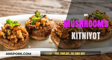Passover Mushrooms: Are They Kitniyot?