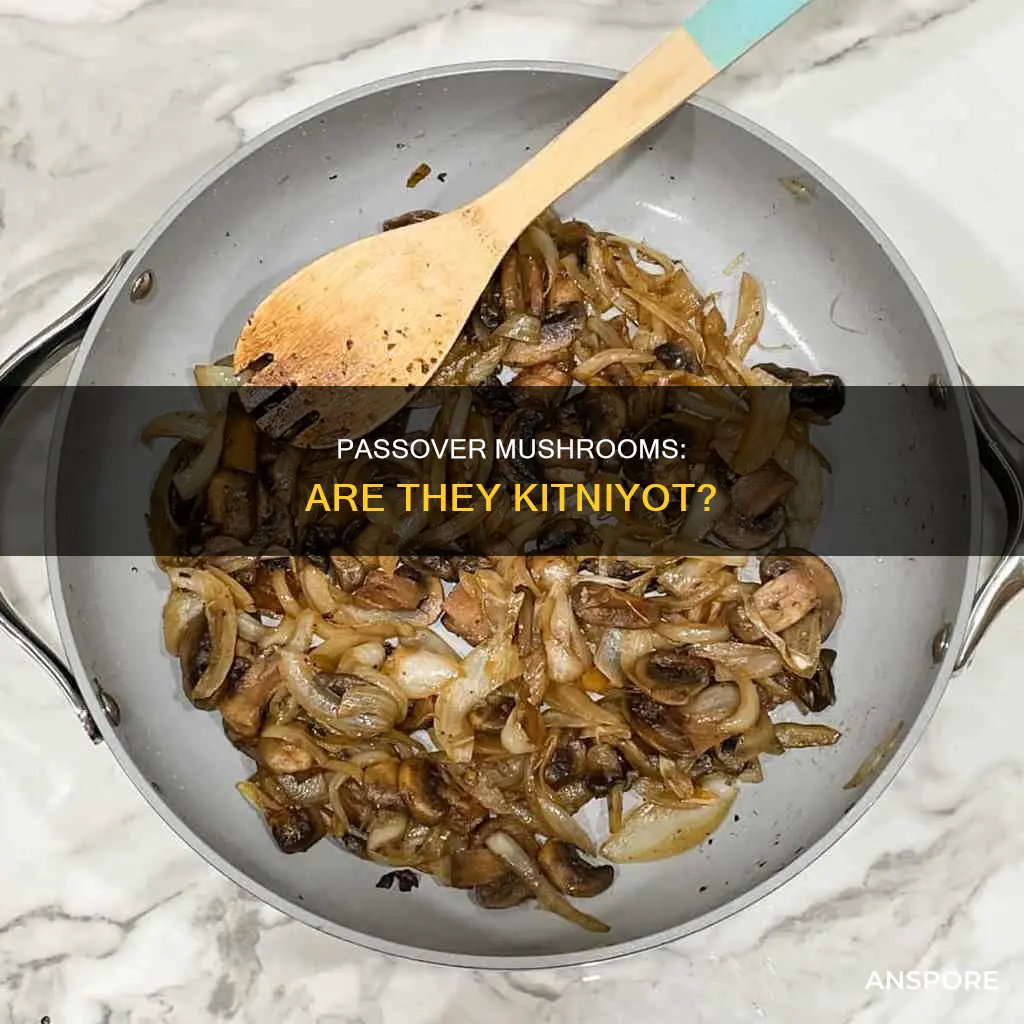 are mushrooms kitniyot