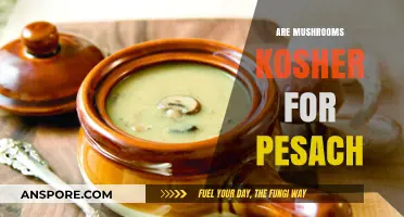 Kosher Mushrooms for Passover: What You Need to Know