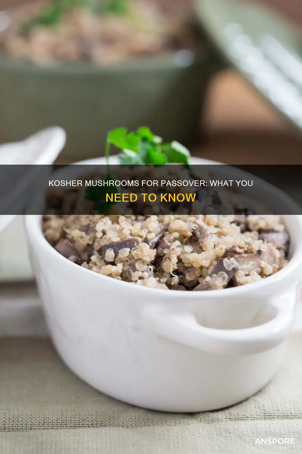 are mushrooms kosher for pesach