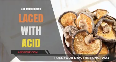 Mushrooms and Acid: A Dangerous Mix?