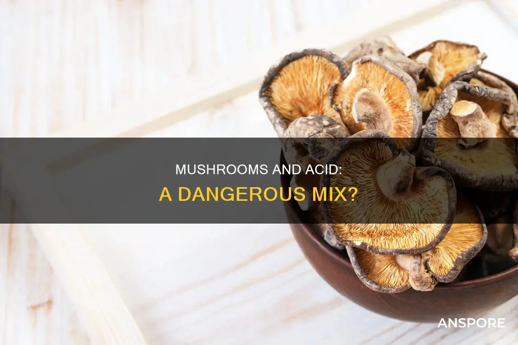 are mushrooms laced with acid