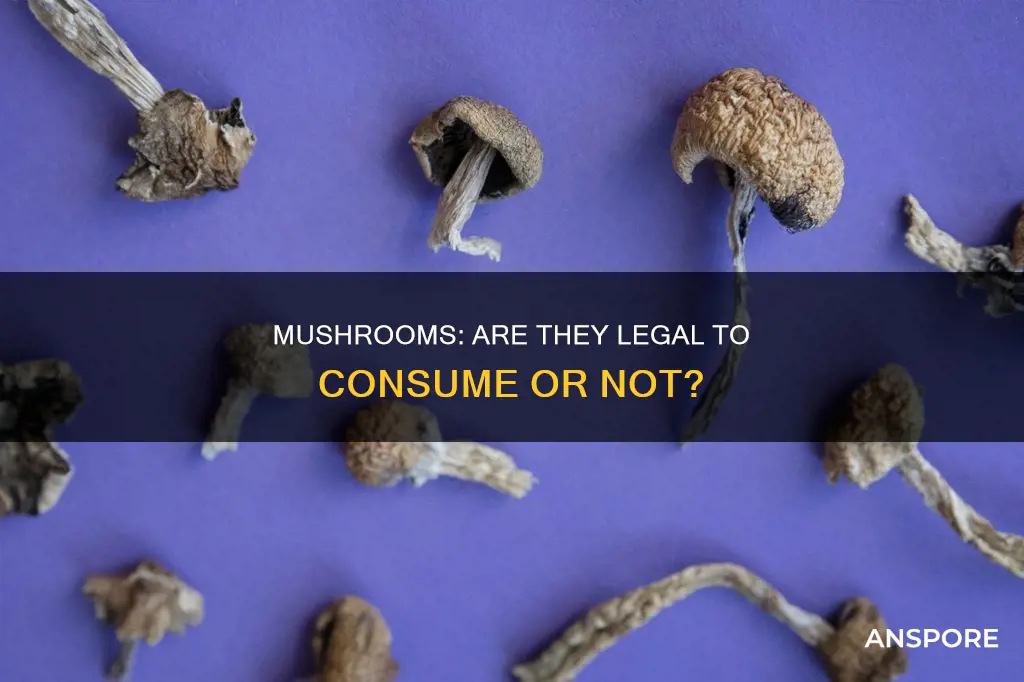 are mushrooms leagal