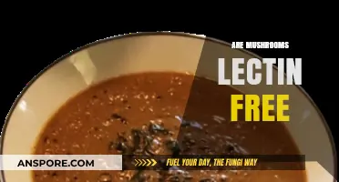 Mushrooms: Lectin-Free Superfood?