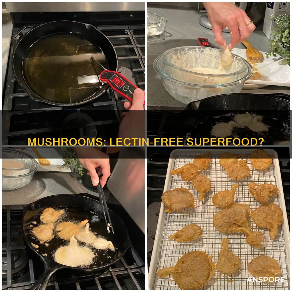 are mushrooms lectin free