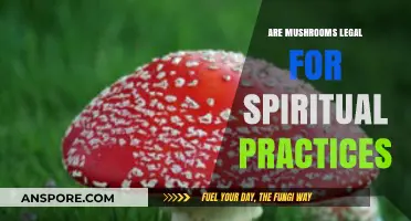 Exploring the Legality of Mushrooms in Spiritual Practices and Rituals