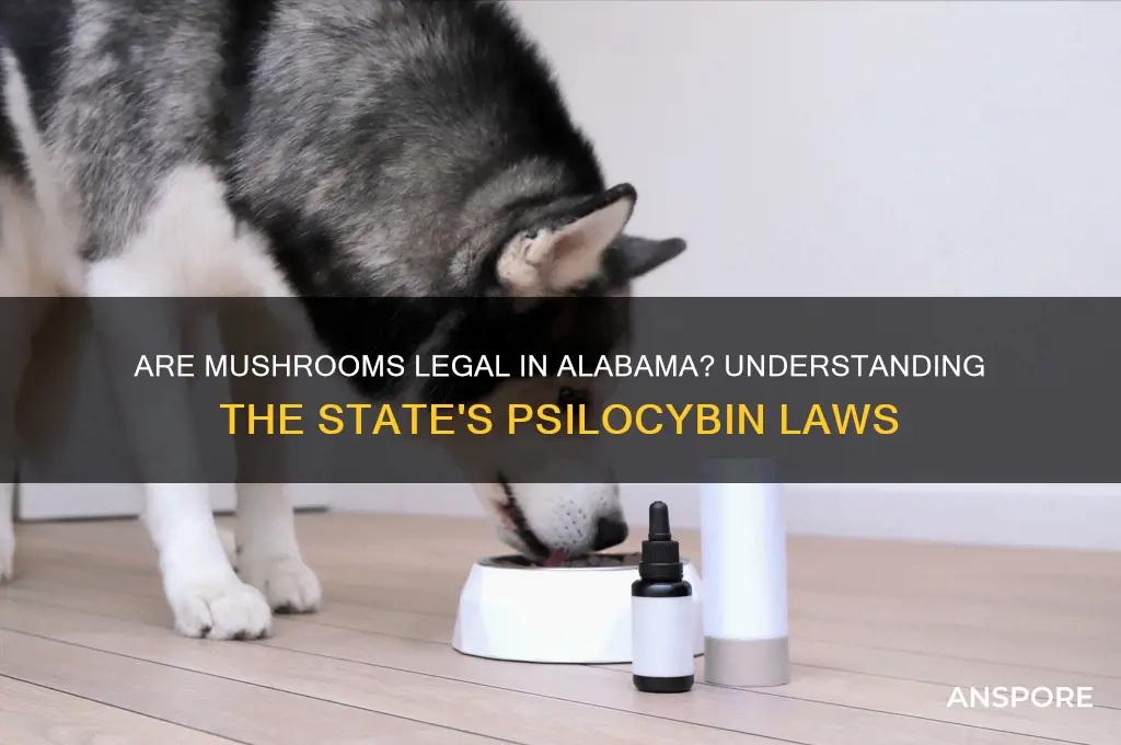 are mushrooms legal in alabama