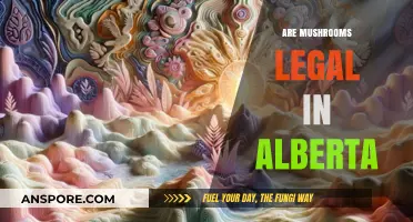 Are Mushrooms Legal in Alberta? Understanding Psilocybin Laws and Regulations