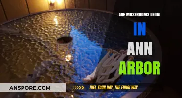 Are Mushrooms Legal in Ann Arbor? Exploring Local Laws and Regulations