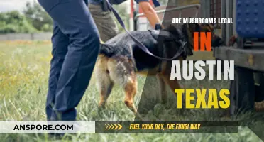 Are Mushrooms Legal in Austin, Texas? A Comprehensive Guide