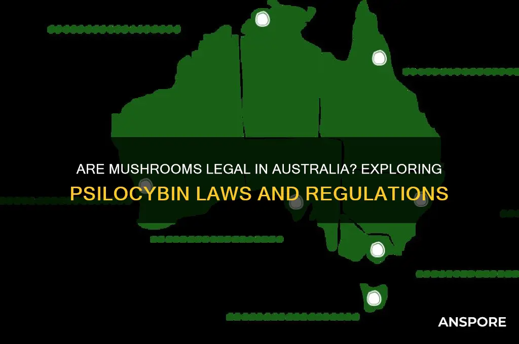 are mushrooms legal in australia