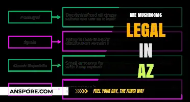 Are Mushrooms Legal in Arizona? Understanding AZ Psilocybin Laws