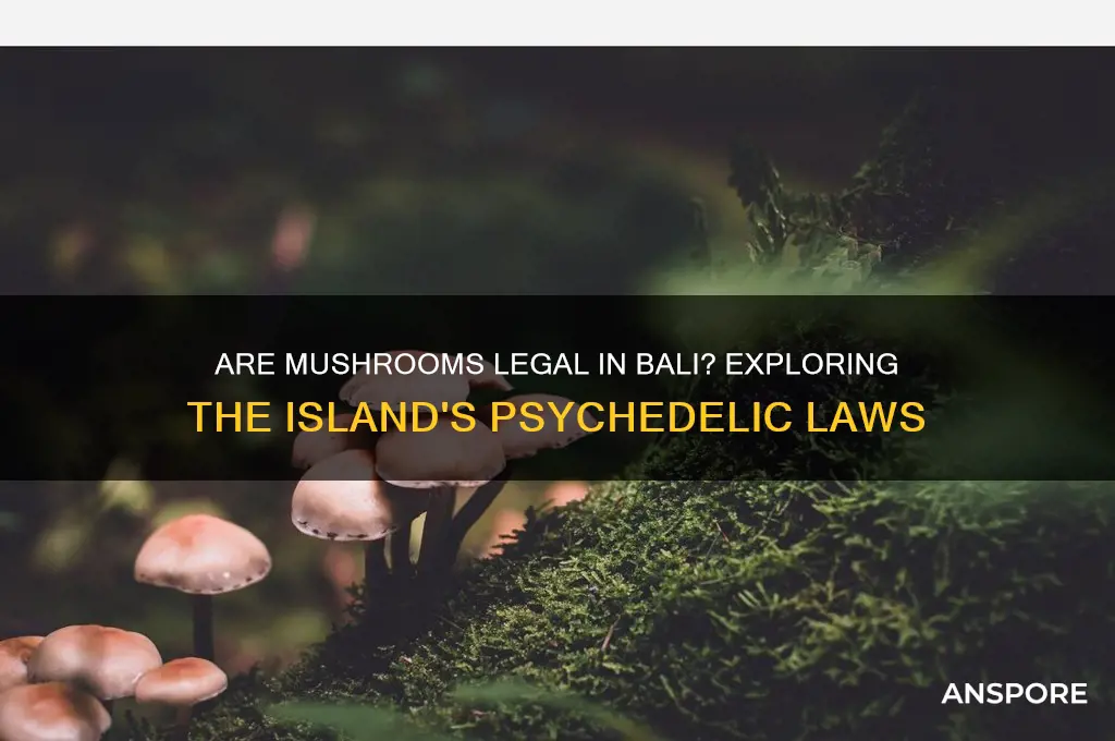 are mushrooms legal in bali