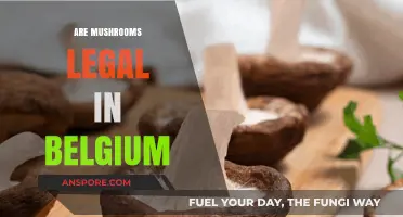 Are Mushrooms Legal in Belgium? Understanding the Current Laws