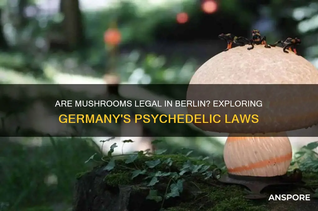 are mushrooms legal in berlin