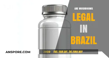 Are Mushrooms Legal in Brazil? Exploring Psilocybin Laws and Regulations