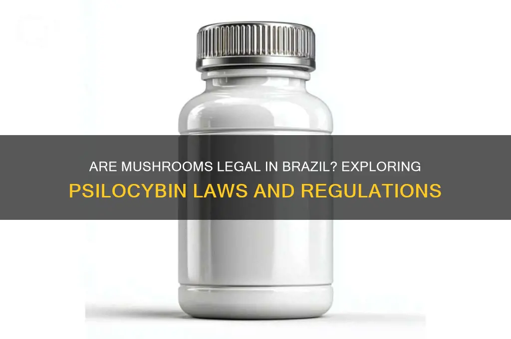 are mushrooms legal in brazil