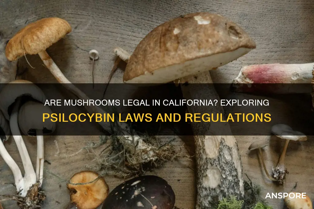 are mushrooms legal in cali