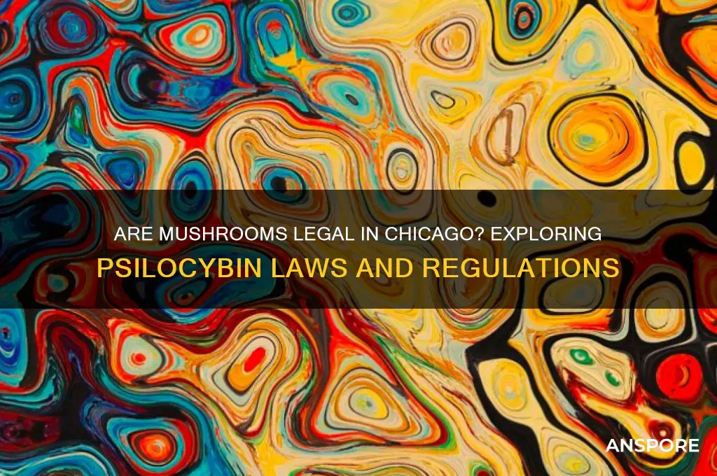 are mushrooms legal in chicago