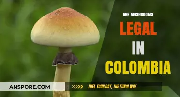 Exploring Colombia's Mushroom Laws: Legal Status and Cultural Significance