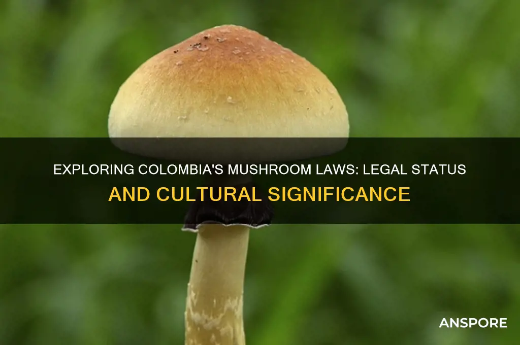 are mushrooms legal in colombia