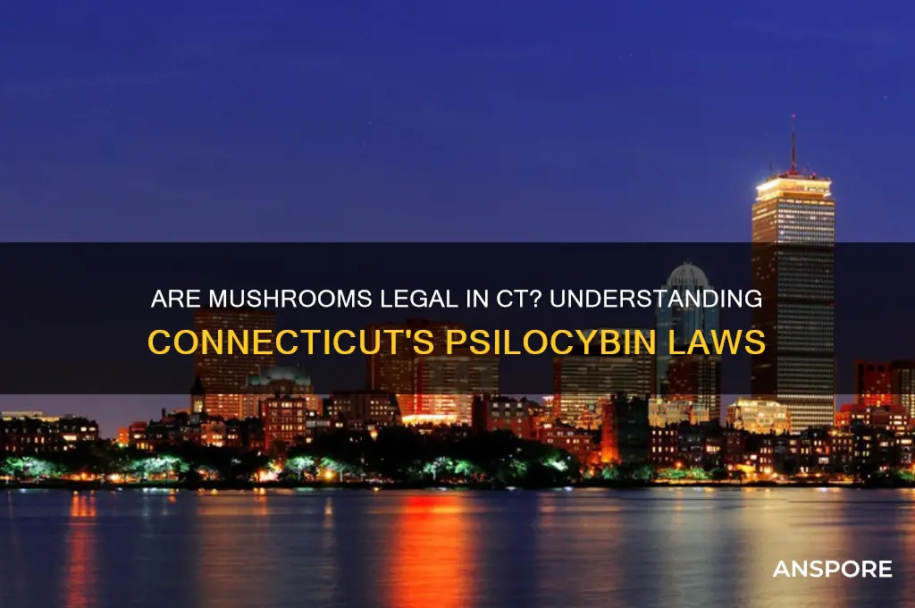 are mushrooms legal in ct
