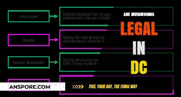 Are Mushrooms Legal in DC? Exploring Psilocybin's Status in the District