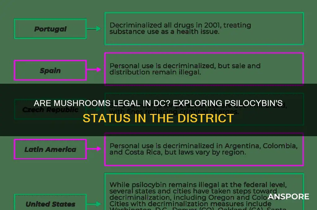 are mushrooms legal in dc