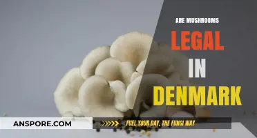 Mushroom Legality in Denmark: What You Need to Know