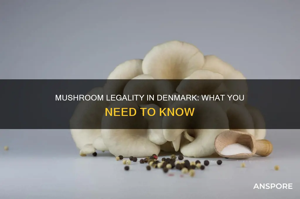 are mushrooms legal in denmark