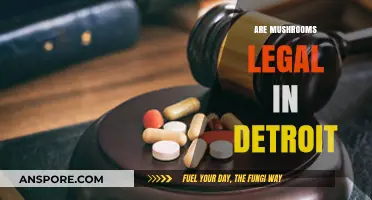 Are Mushrooms Legal in Detroit? Exploring Psilocybin Laws and Regulations