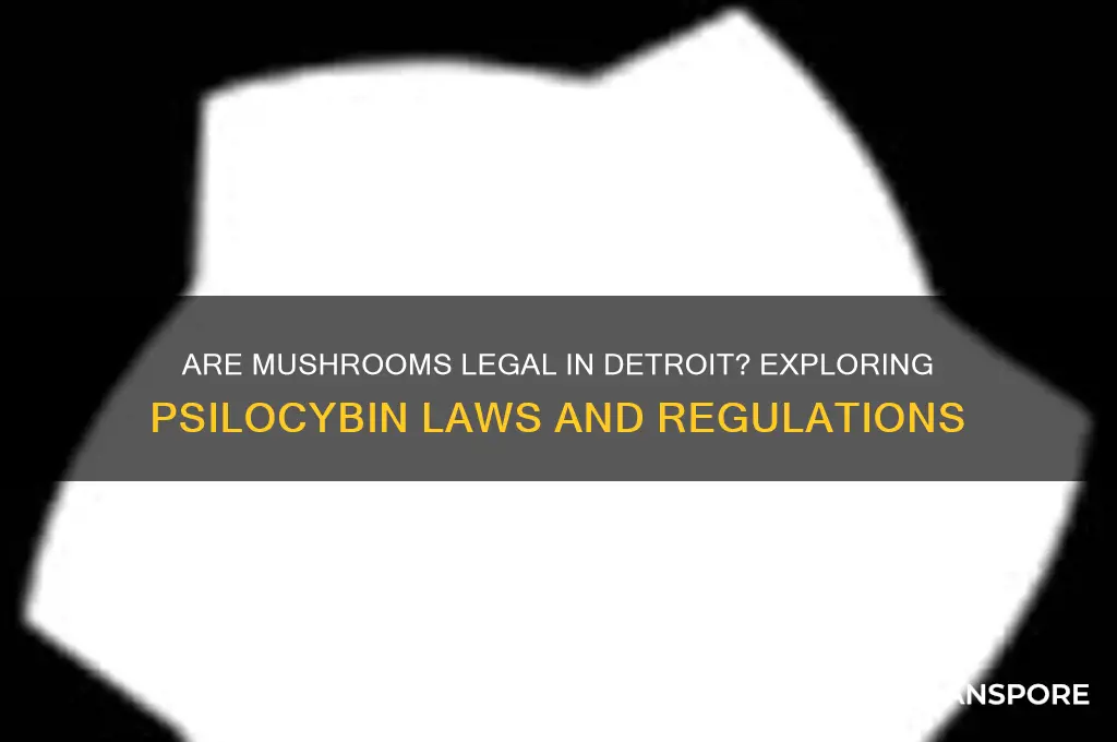 are mushrooms legal in detroit